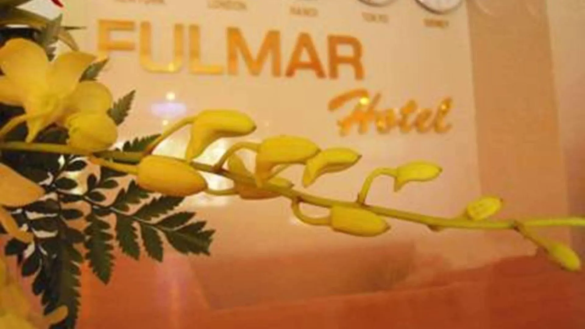 Fulmar Hotel Da Nang