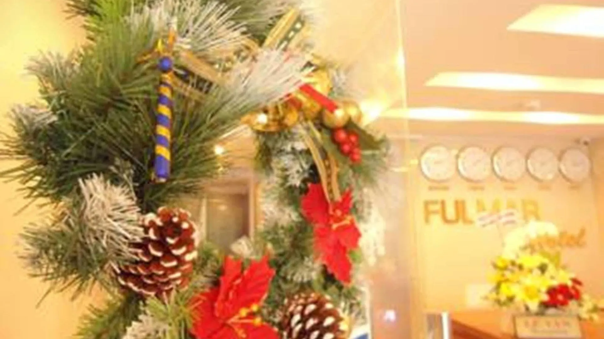 Fulmar Hotel Da Nang